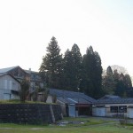 信楽町長野-5月の朝