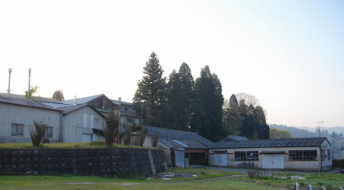 信楽町長野-5月の朝