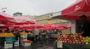 IMG_0248-web